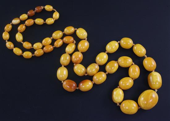 A single strand graduated oval amber bead necklace, 86cm.